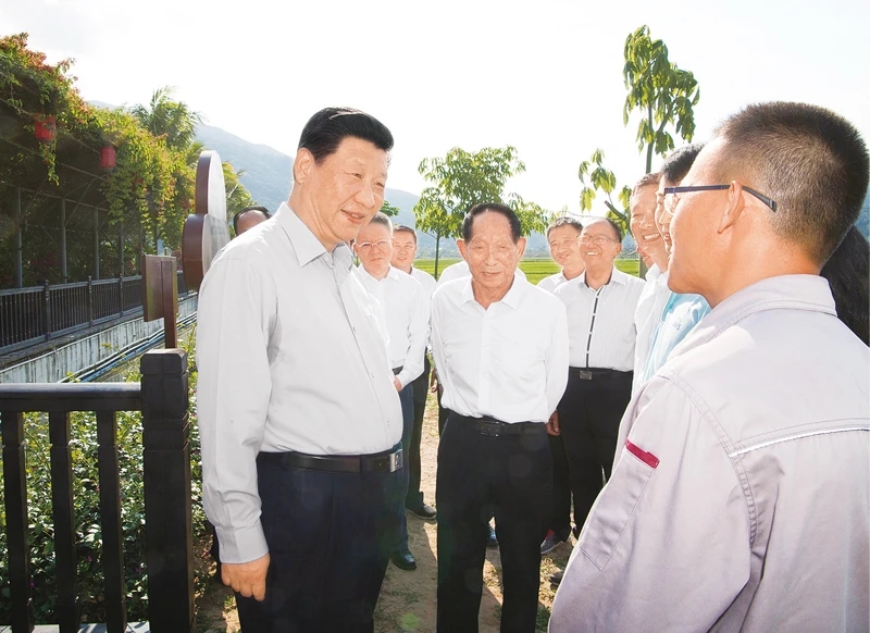2018年4月11日至13日，中共中央总书记、国家主席、中央军委主席习近平在海南考察。这是4月12日下午，习近平在国家南繁科研育种基地同袁隆平院士等农业科技人员亲切交谈，了解水稻育制种产业发展和推广情况。新华社记者 李学仁/摄